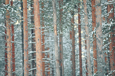 Similar image 10533637