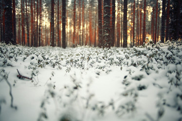 Similar image 10533640