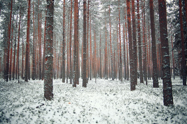 Similar image 10533644