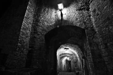 Similar image 10533669