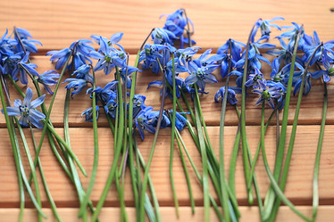 Similar image 10533671