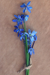 Similar image 10533674