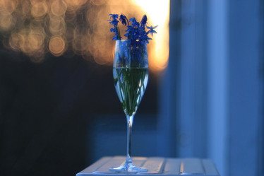 Similar image 10533681