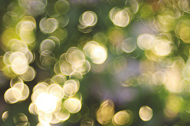 Similar image 10533689