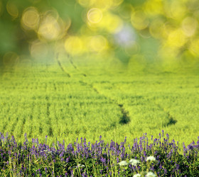 Similar image 10533693