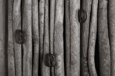 Similar image 10533696