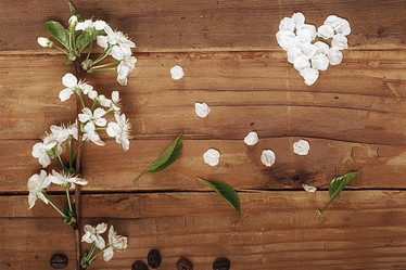 Similar image 10533699