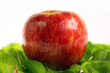 Similar image 10533711