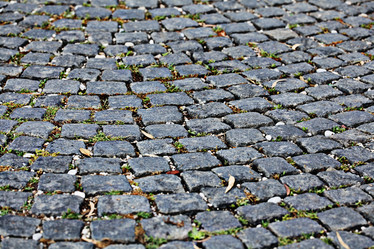 Similar image 10533723