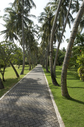 Similar image 10533747