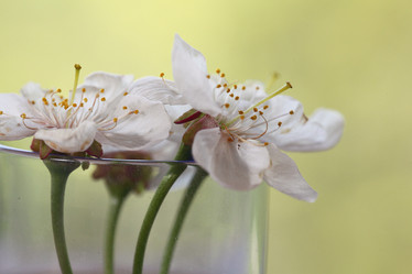 Similar image 10533775