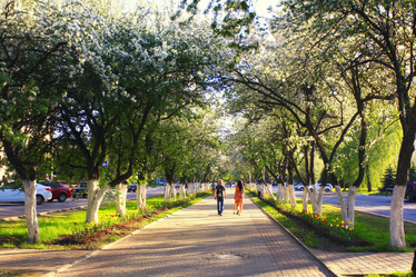 Similar image 10533788