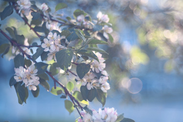 Similar image 10533790