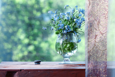 Similar image 10533794