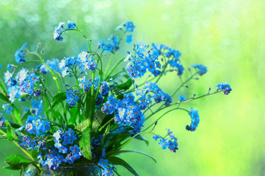 Similar image 10533809