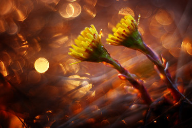 Similar image 10533810