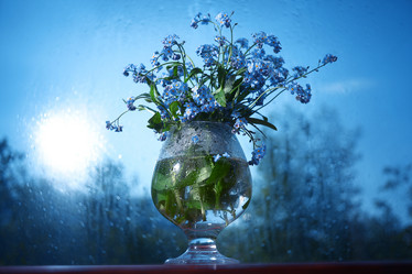 Similar image 10533812