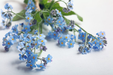 Similar image 10533817