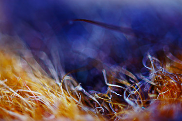 Similar image 10533829