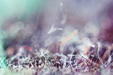 Similar image 10533863