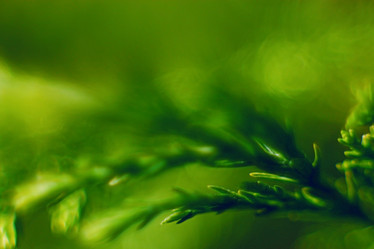 Similar image 10533868