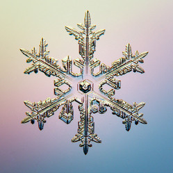 Similar image 10533872