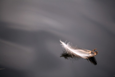 Similar image 10533898