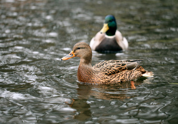 Similar image 10533900