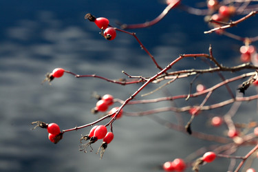 Similar image 10533902