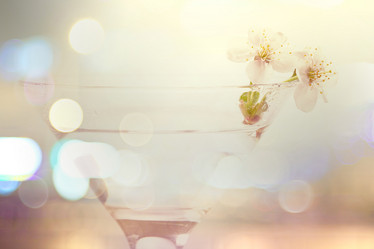 Similar image 10533908