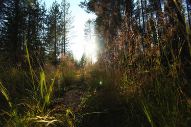 Similar image 10533912