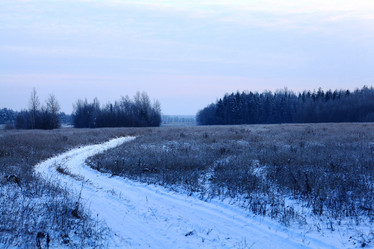 Similar image 10533913