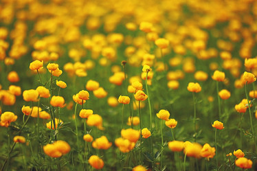 Similar image 10533921