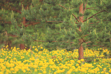 Similar image 10533924