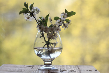 Similar image 10533970