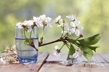 Similar image 10533972