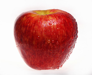 Similar image 10533978