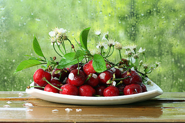 Similar image 10533985