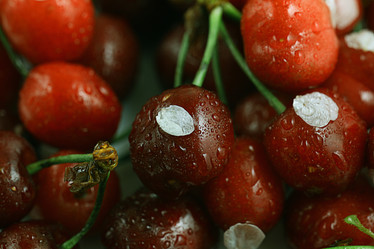 Similar image 10533990