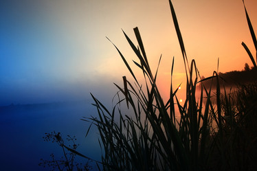 Similar image 10534026