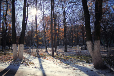 Similar image 10534042