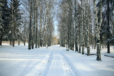 Similar image 10534047