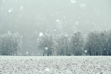 Similar image 10534082