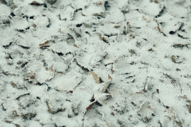 Similar image 10534083