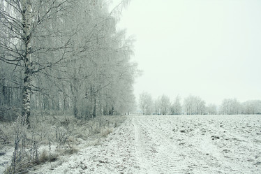 Similar image 10534084