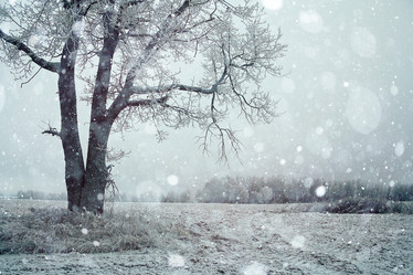 Similar image 10534085