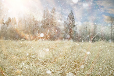 Similar image 10534089