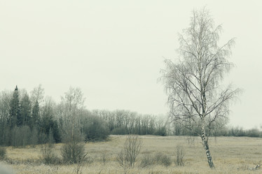 Similar image 10534091