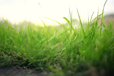 Similar image 10534092