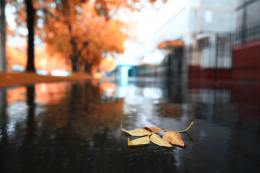 Similar image 10534119